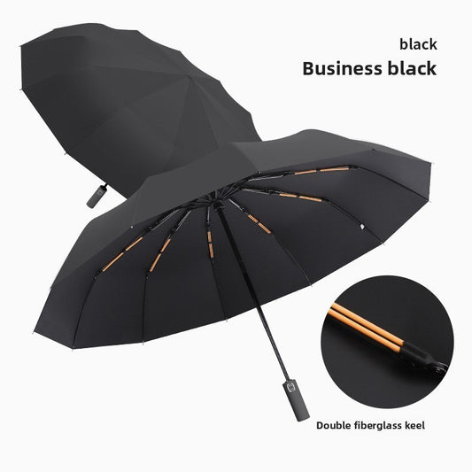 The StormGuard 12-Rib Automatic Umbrella