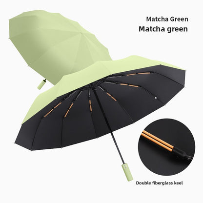 The StormGuard 12-Rib Automatic Umbrella