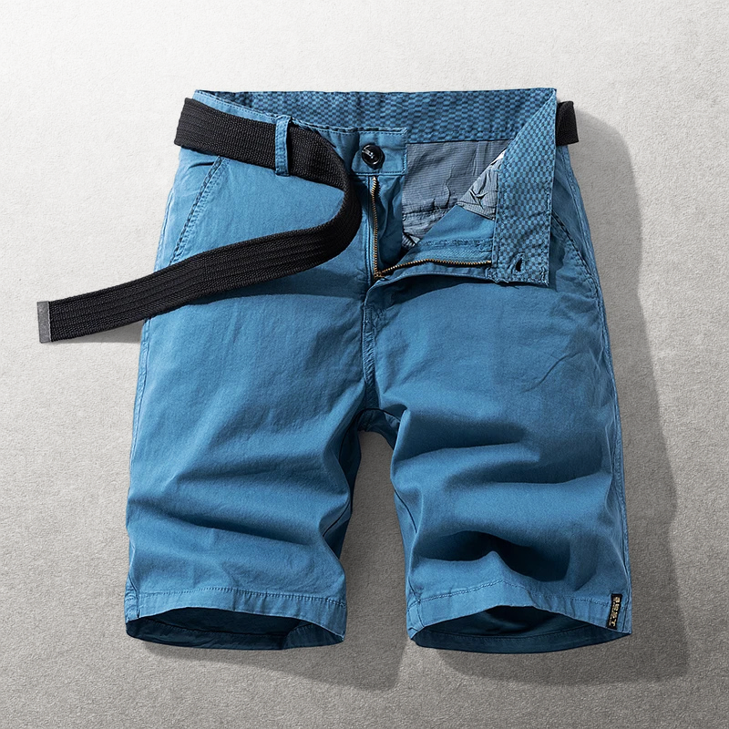 The Hudson Cotton Chino Shorts