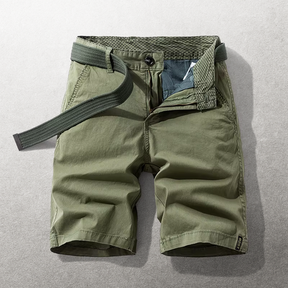 The Hudson Cotton Chino Shorts