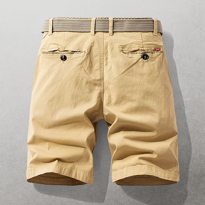 The Hudson Cotton Chino Shorts