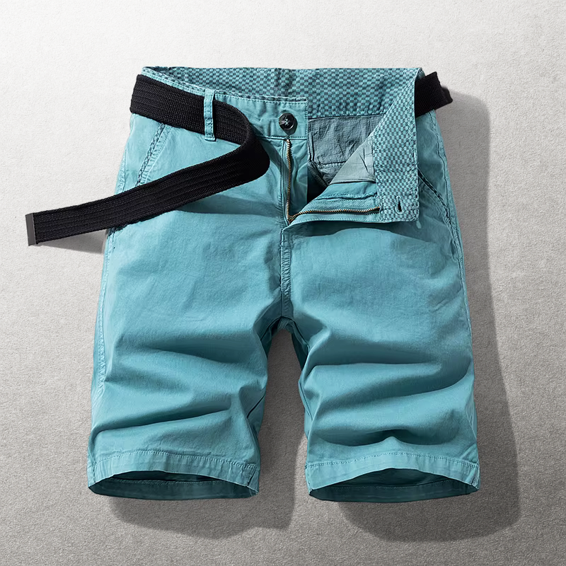 The Hudson Cotton Chino Shorts