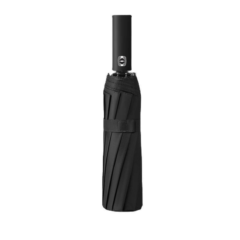 The StormGuard 12-Rib Automatic Umbrella